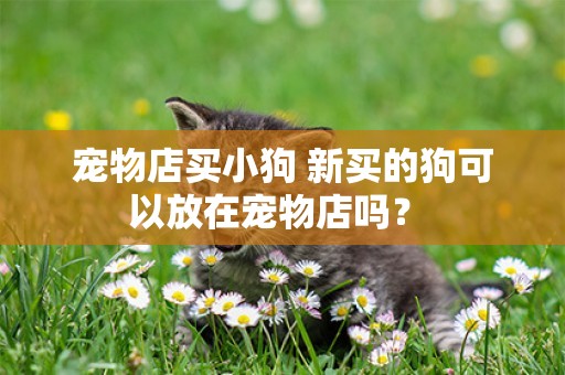 寵物店買小狗 新買的狗可以放在寵物店嗎？ 