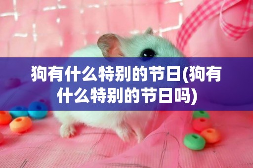 狗有什么特別的節日(狗有什么特別的節日嗎)