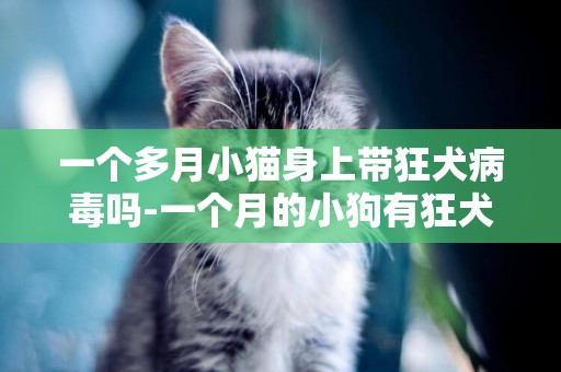 一個多月小貓身上帶狂犬病毒嗎-一個月的小狗有狂犬病嗎