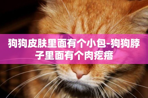 狗狗皮膚里面有個小包-狗狗脖子里面有個肉疙瘩