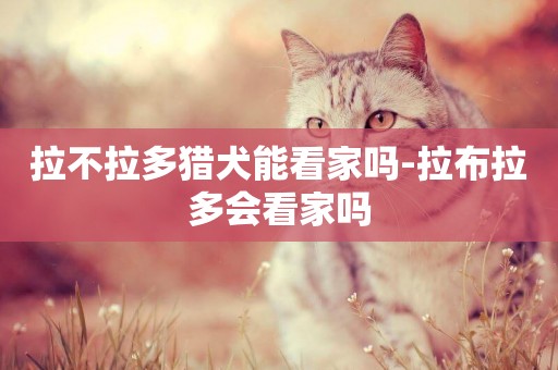 拉不拉多獵犬能看家嗎-拉布拉多會看家嗎