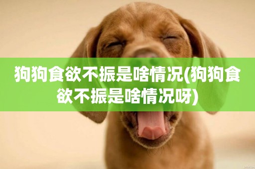 狗狗食欲不振是啥情況(狗狗食欲不振是啥情況呀)