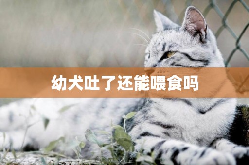 幼犬吐了還能喂食嗎
