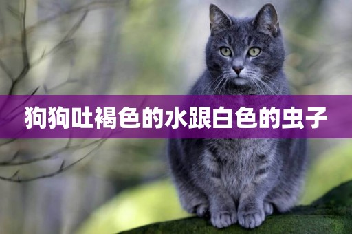 狗狗吐褐色的水跟白色的蟲子