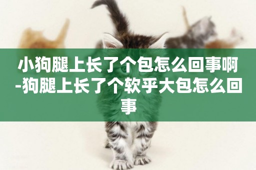 小狗腿上長了個包怎么回事啊-狗腿上長了個軟乎大包怎么回事