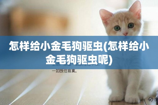 怎樣給小金毛狗驅蟲(怎樣給小金毛狗驅蟲呢)