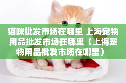 貓咪批發市場在哪里 上海寵物用品批發市場在哪里（上海寵物用品批發市場在哪里） 