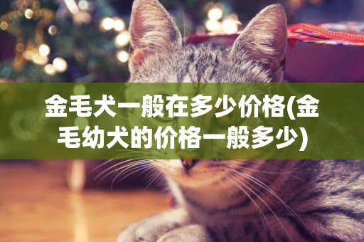 金毛犬一般在多少價格(金毛幼犬的價格一般多少)