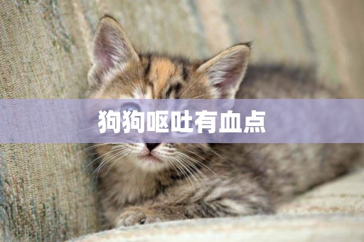 狗狗嘔吐有血點