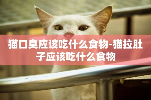 貓口臭應該吃什么食物-貓拉肚子應該吃什么食物