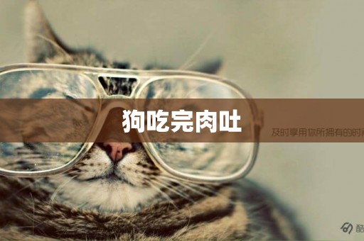 狗吃完肉吐