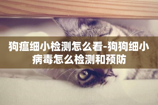 狗瘟細小檢測怎么看-狗狗細小病毒怎么檢測和預防