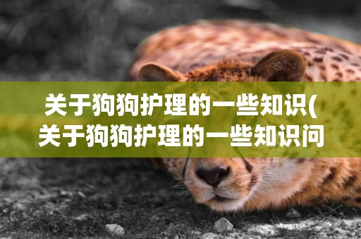 關于狗狗護理的一些知識(關于狗狗護理的一些知識問答)