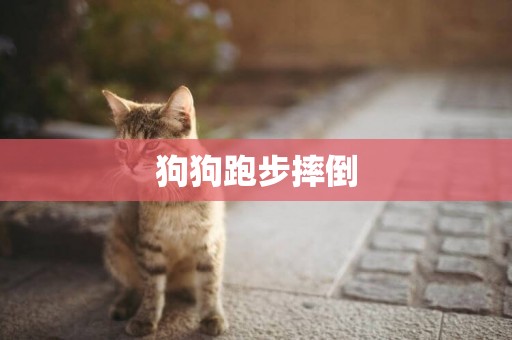 狗狗跑步摔倒