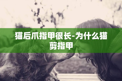 貓后爪指甲很長-為什么貓剪指甲