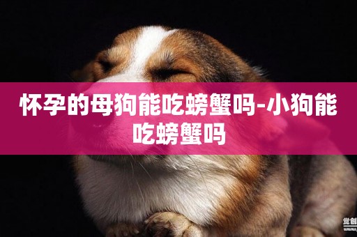 懷孕的母狗能吃螃蟹嗎-小狗能吃螃蟹嗎