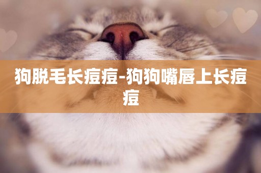 狗脫毛長痘痘-狗狗嘴唇上長痘痘
