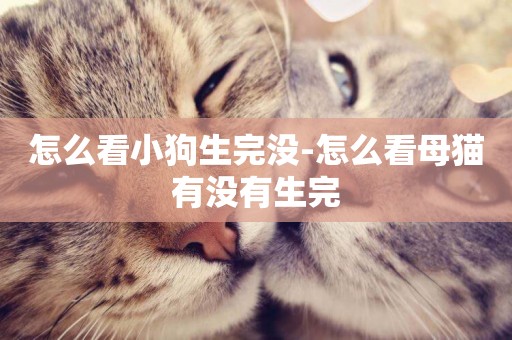怎么看小狗生完沒-怎么看母貓有沒有生完