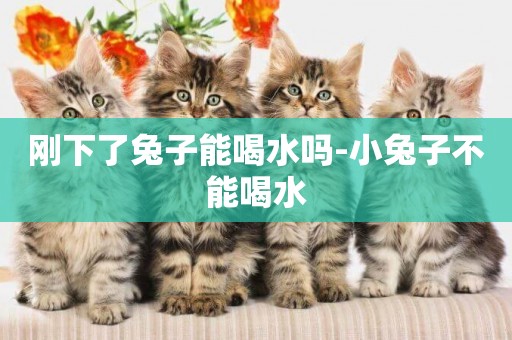 剛下了兔子能喝水嗎-小兔子不能喝水