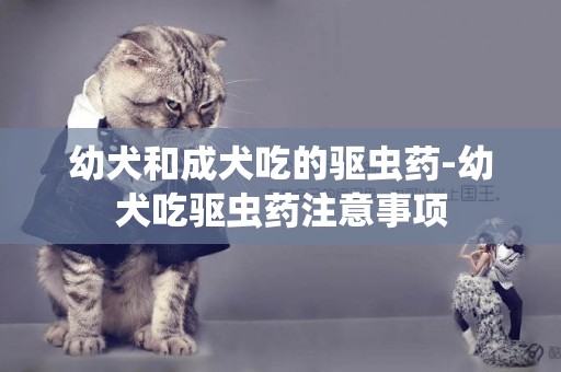 幼犬和成犬吃的驅蟲藥-幼犬吃驅蟲藥注意事項