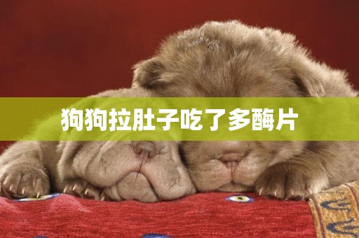 狗狗拉肚子吃了多酶片