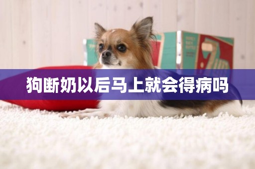 狗斷奶以后馬上就會得病嗎
