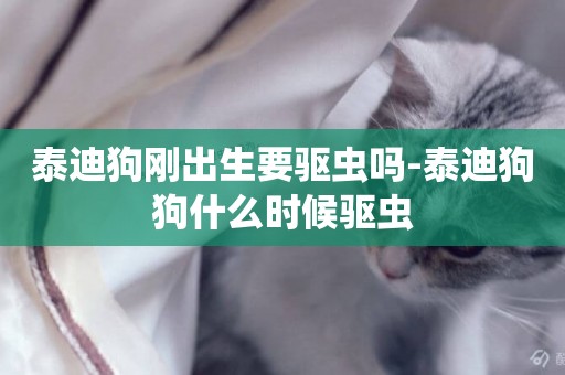 泰迪狗剛出生要驅蟲嗎-泰迪狗狗什么時候驅蟲