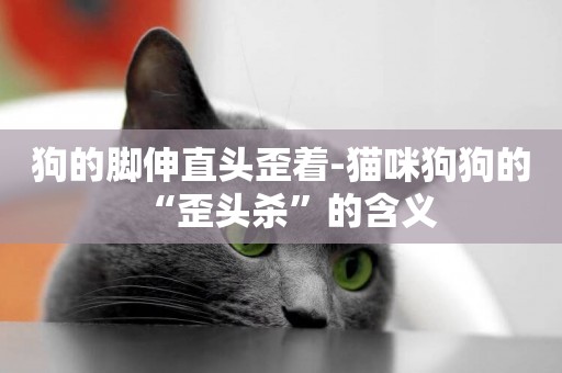 狗的腳伸直頭歪著-貓咪狗狗的“歪頭殺”的含義