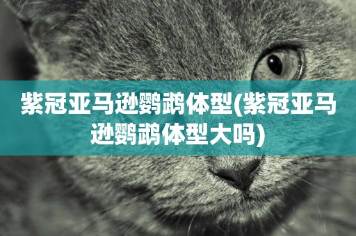紫冠亞馬遜鸚鵡體型(紫冠亞馬遜鸚鵡體型大嗎)