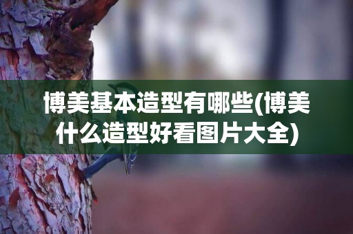博美基本造型有哪些(博美什么造型好看圖片大全)