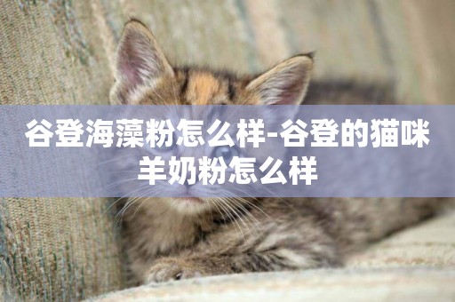 谷登海藻粉怎么樣-谷登的貓咪羊奶粉怎么樣