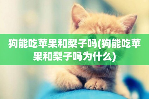 狗能吃蘋果和梨子嗎(狗能吃蘋果和梨子嗎為什么)