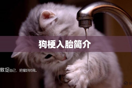 狗梗入胎簡介 