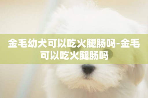 金毛幼犬可以吃火腿腸嗎-金毛可以吃火腿腸嗎