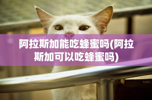 阿拉斯加能吃蜂蜜嗎(阿拉斯加可以吃蜂蜜嗎)