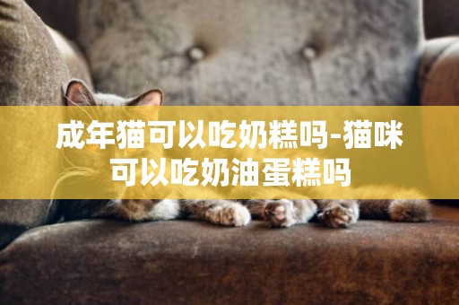 成年貓可以吃奶糕嗎-貓咪可以吃奶油蛋糕嗎