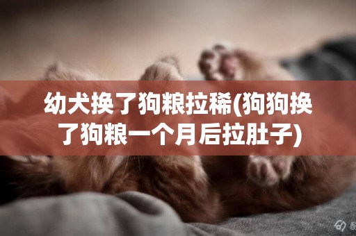幼犬換了狗糧拉稀(狗狗換了狗糧一個月后拉肚子)