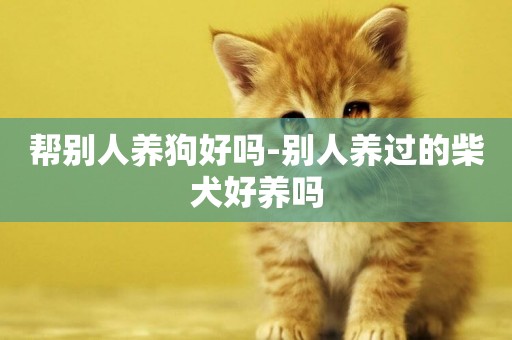 幫別人養狗好嗎-別人養過的柴犬好養嗎