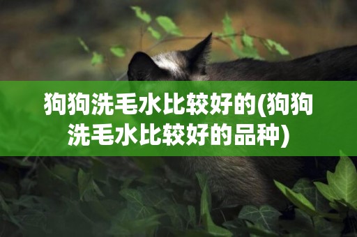 狗狗洗毛水比較好的(狗狗洗毛水比較好的品種)