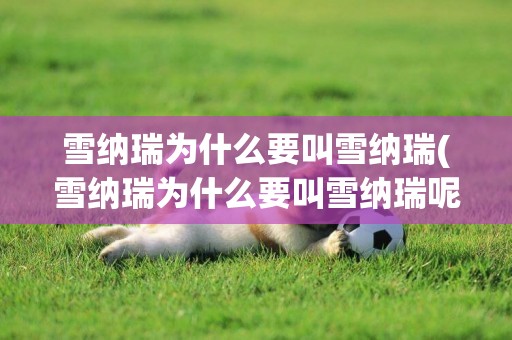 雪納瑞為什么要叫雪納瑞(雪納瑞為什么要叫雪納瑞呢)