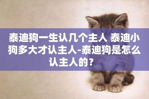 泰迪狗一生認幾個主人 泰迪小狗多大才認主人-泰迪狗是怎么認主人的？ 