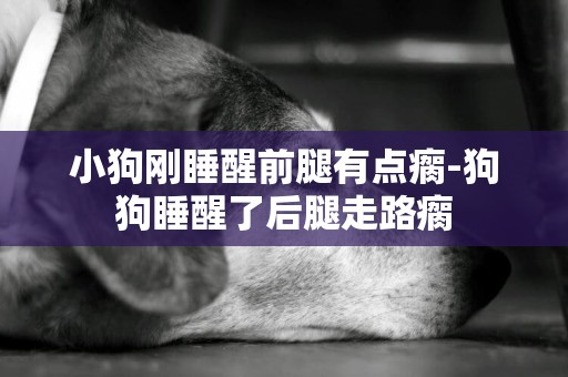 小狗剛睡醒前腿有點瘸-狗狗睡醒了后腿走路瘸