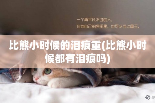 比熊小時候的淚痕重(比熊小時候都有淚痕嗎)
