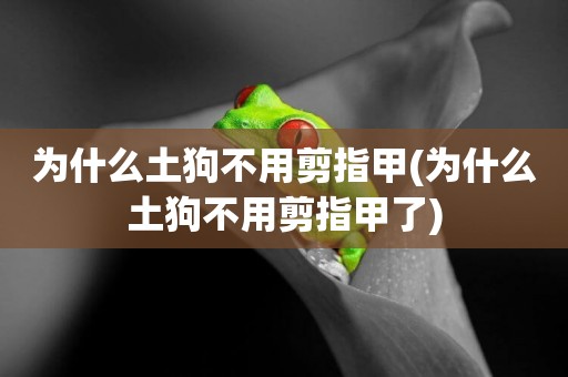 為什么土狗不用剪指甲(為什么土狗不用剪指甲了)