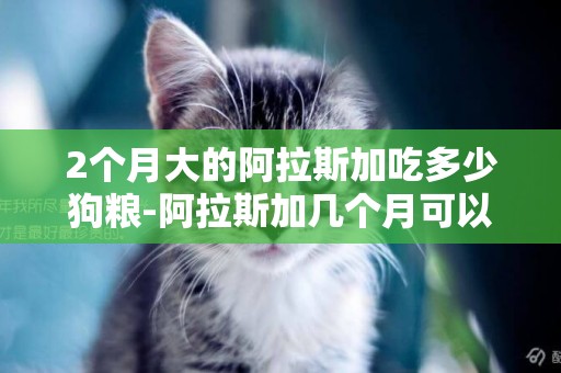 2個月大的阿拉斯加吃多少狗糧-阿拉斯加幾個月可以吃干狗糧
