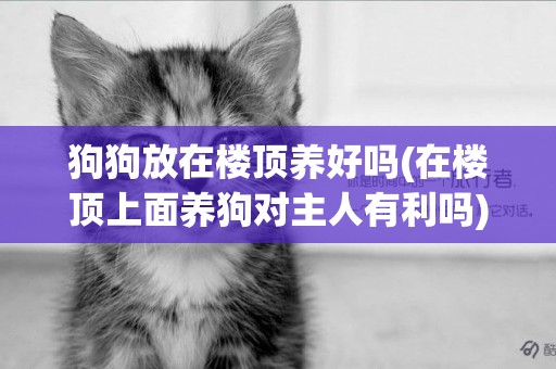 狗狗放在樓頂養好嗎(在樓頂上面養狗對主人有利嗎)