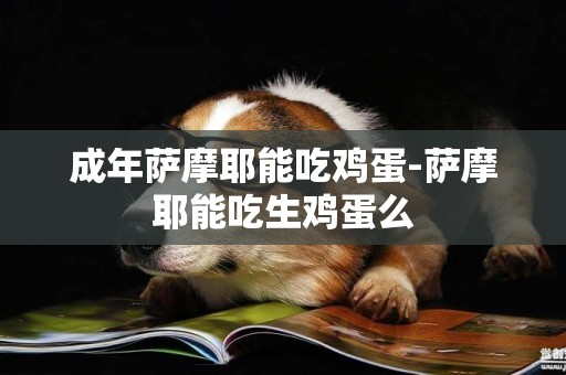 成年薩摩耶能吃雞蛋-薩摩耶能吃生雞蛋么