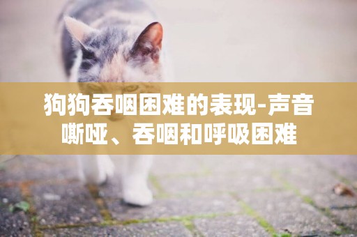狗狗吞咽困難的表現-聲音嘶啞、吞咽和呼吸困難