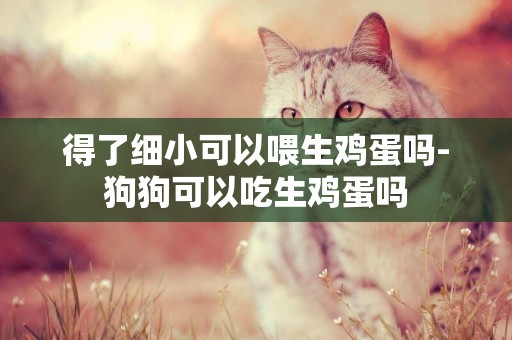 得了細小可以喂生雞蛋嗎-狗狗可以吃生雞蛋嗎
