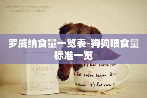 羅威納食量一覽表-狗狗喂食量標準一覽